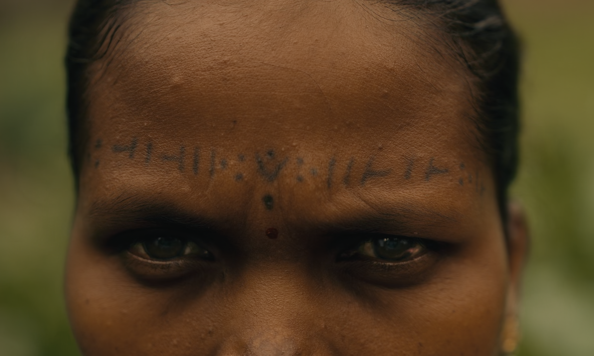 Bega Documentary — documentary project