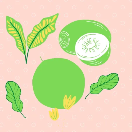 La tapara, uso en la medicina natural, propiedades y uso en la cosmética