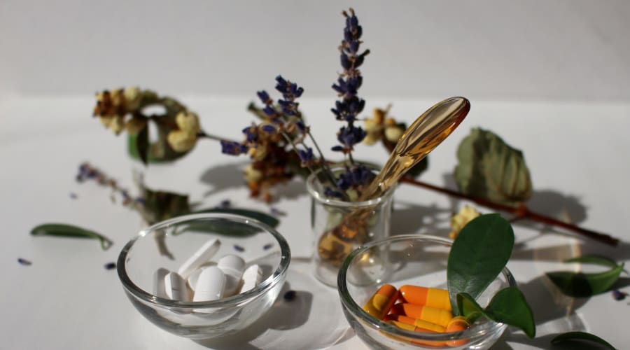 Plantas medicinales y su uso fitoterapéutico