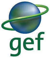 Gef Projects