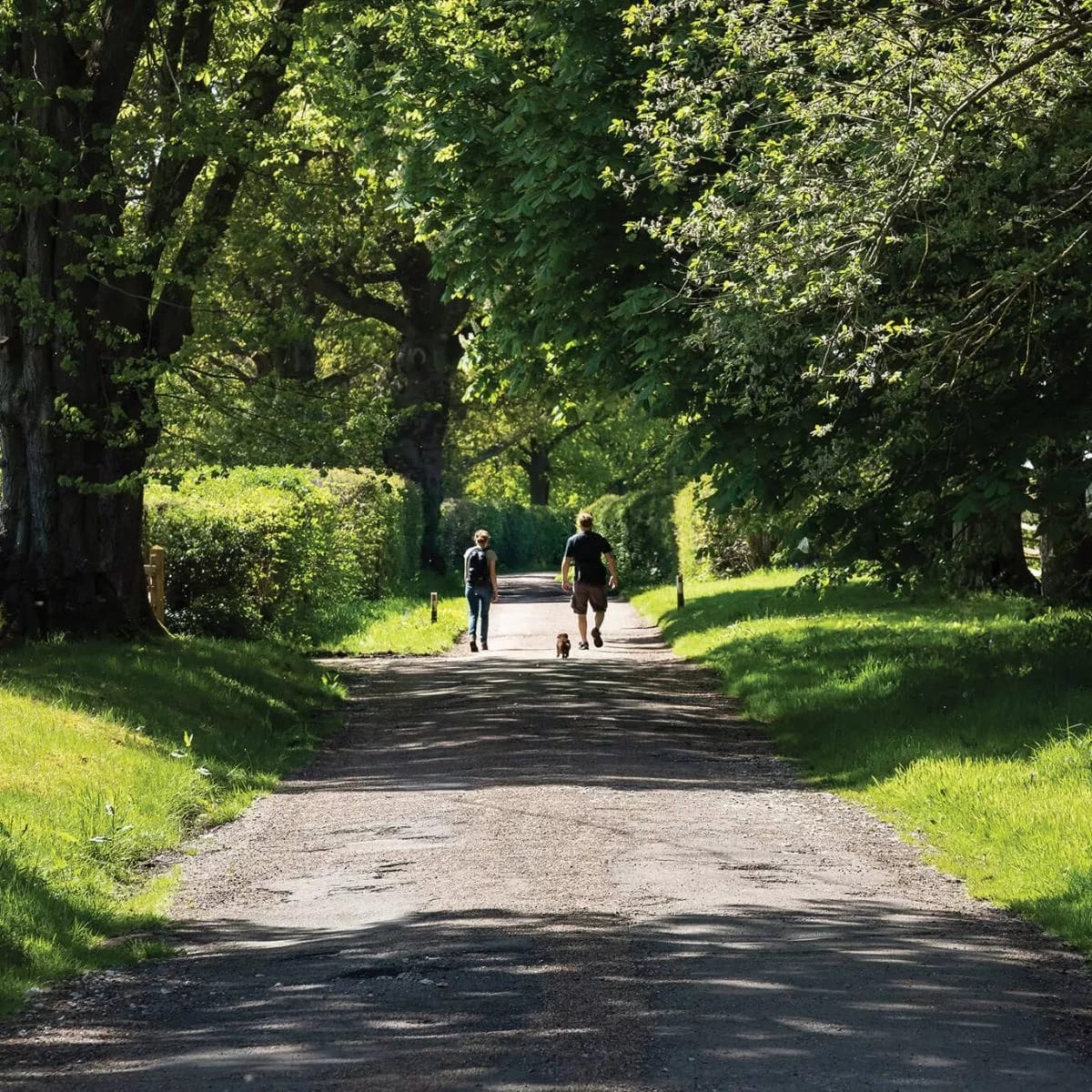 Berry Hill Vale image