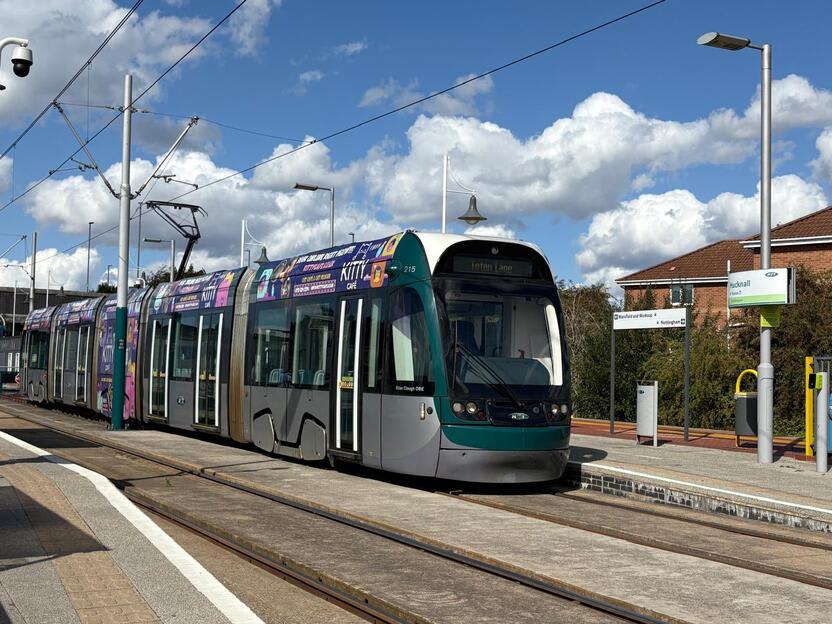 Bovis At Linby Meadows image