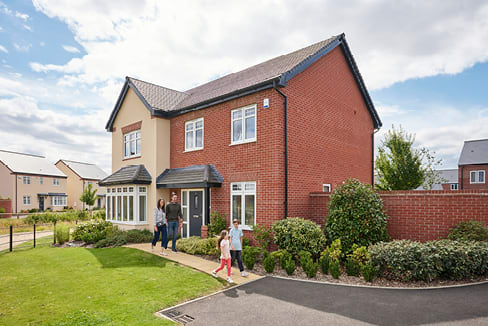 Bovis At Linby Meadows