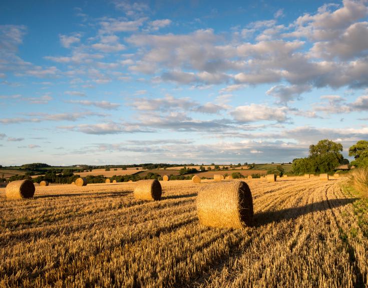 Highwoods Vale image