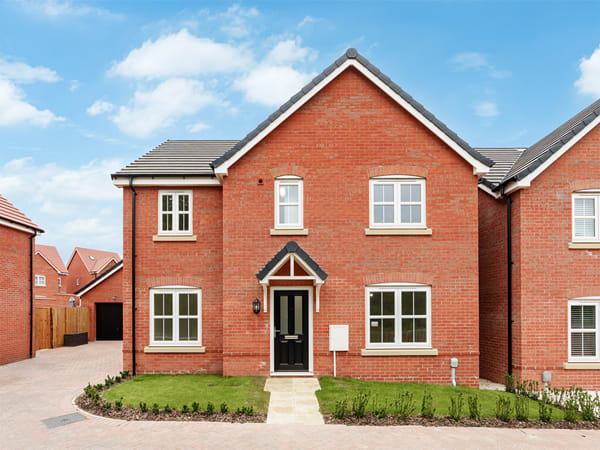 Lavender Fields image