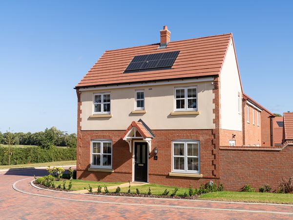 Lavender Fields image