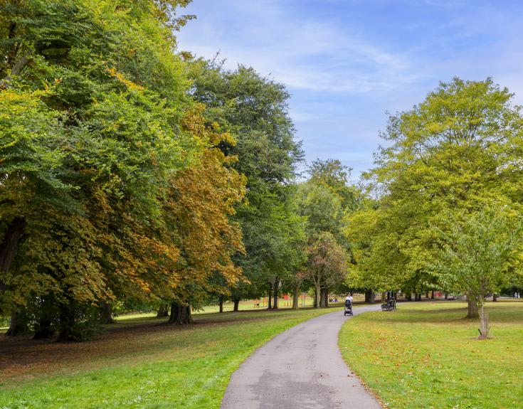 Mapperley Meadows image