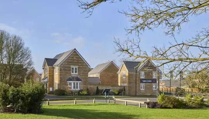 Orchard Fields image