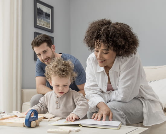 Earls Grange Priorslee image