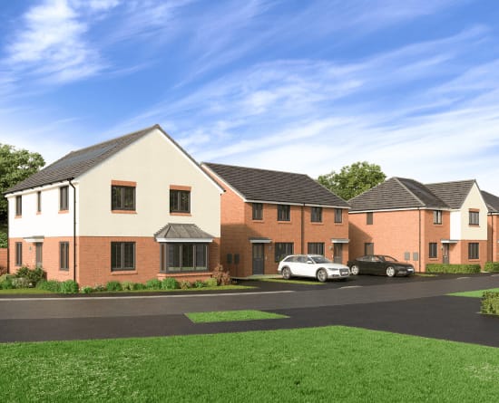 Silver Willows image