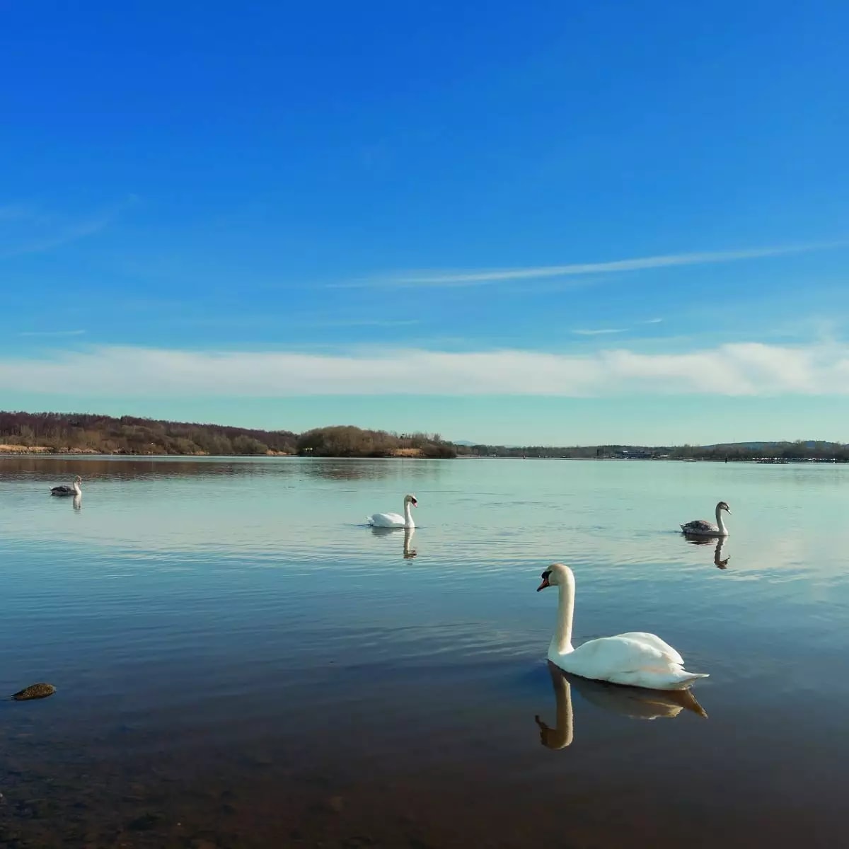 Staverton Lodge image