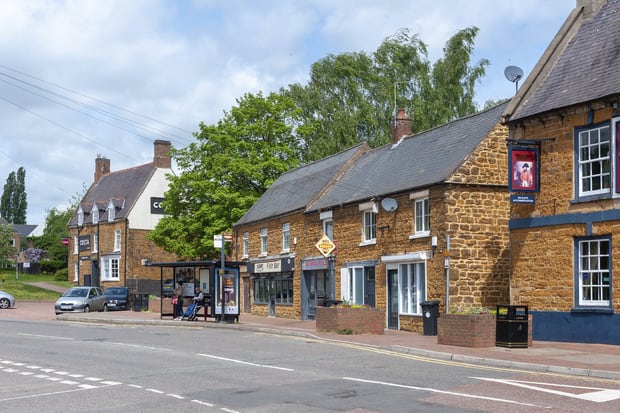 Viridian Meadows image