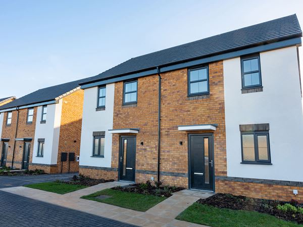 Bluebell Meadow image