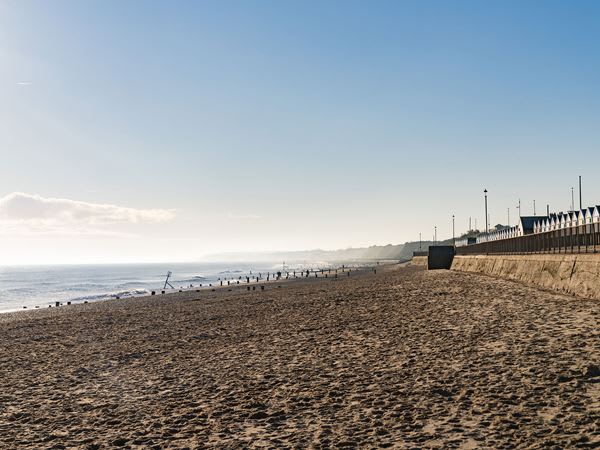 Bluebell Meadow image