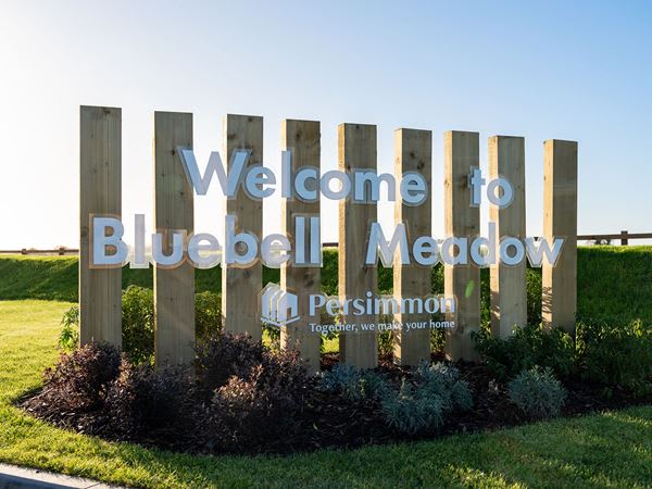 Bluebell Meadow image