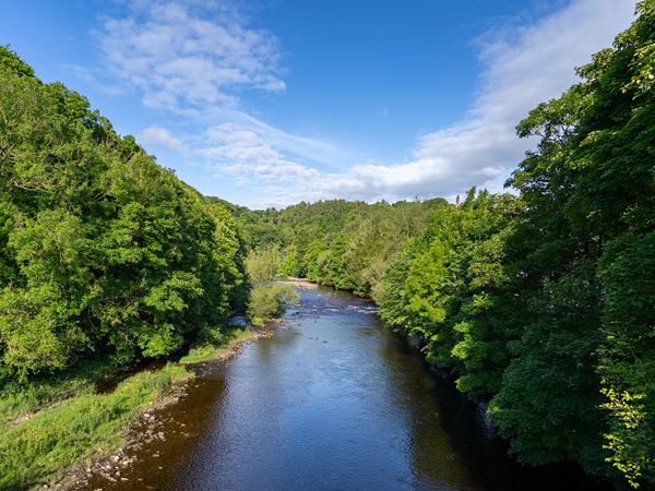 Bluebell Grange image