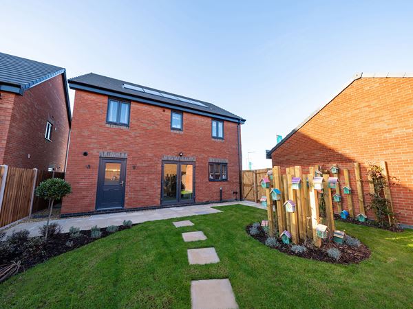 Bluebell Meadow image