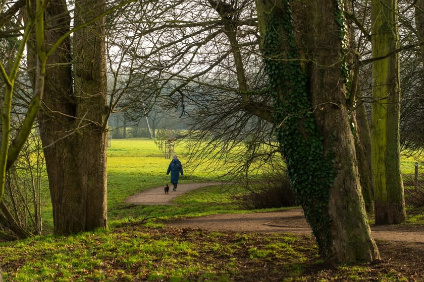 Carrick Meadows image