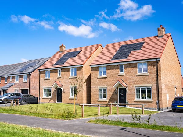 Harebell Meadows image