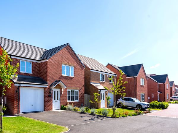 Orchid Gardens at Ladgate Woods image