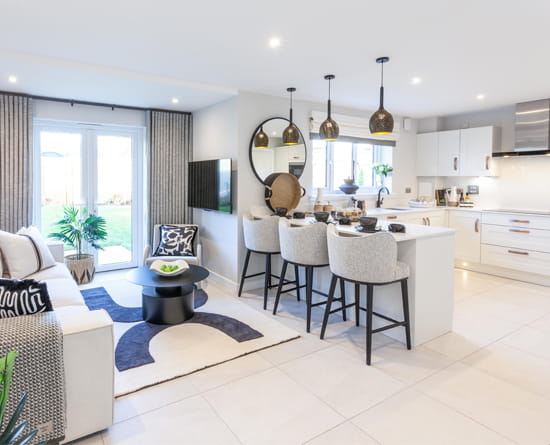 Thornly Park Paisley image