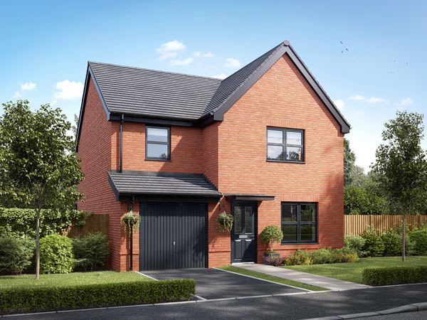 Wellington Mount image