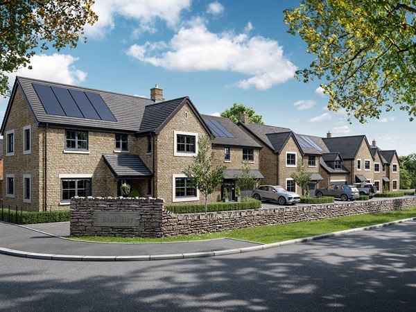 Bluebell Chase image