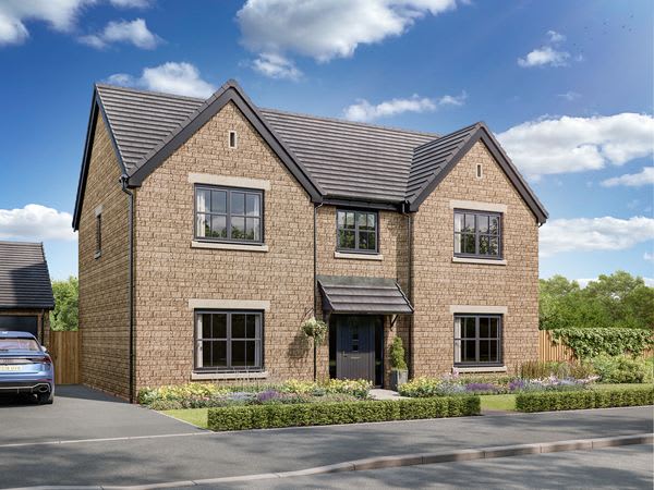 Bluebell Chase image