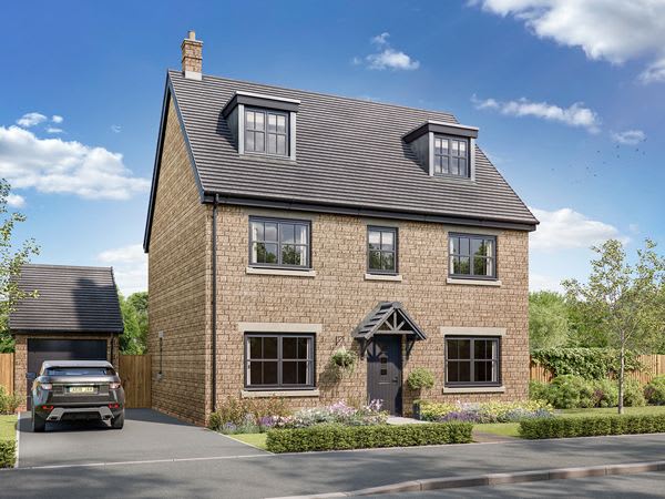 Bluebell Chase image