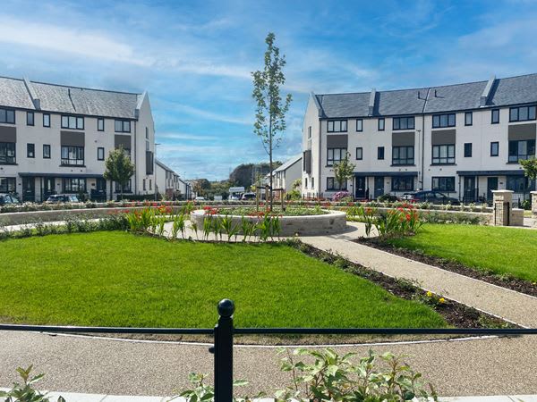 Saltram Meadow image