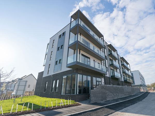 Saltram Meadow image