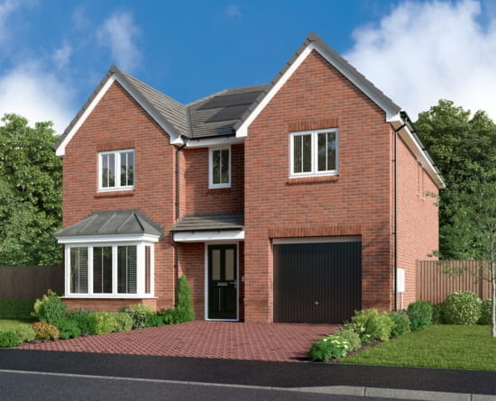 Seaton Delaval image