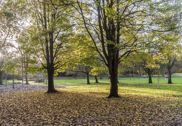 Bishops Quarter image