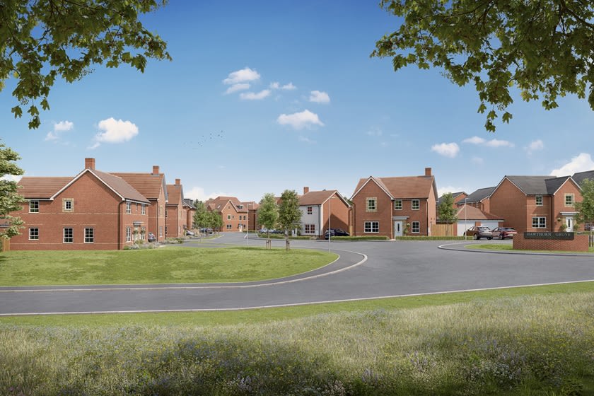 Hawthorn Grove image