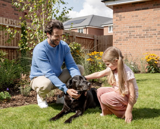 Miller Homes At Cleve Wood Thornbury image