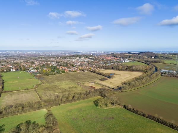 Roseberry View image