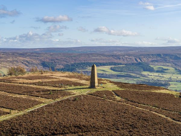 Roseberry View image
