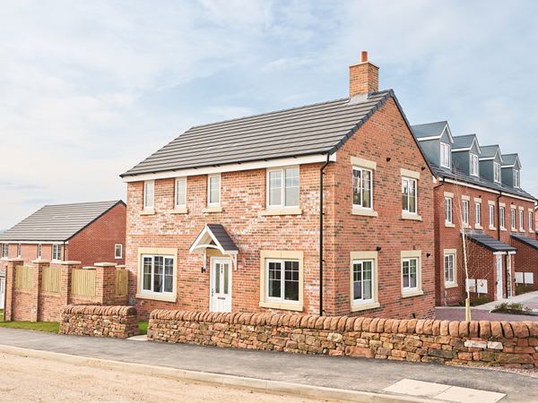 Saddleback View image