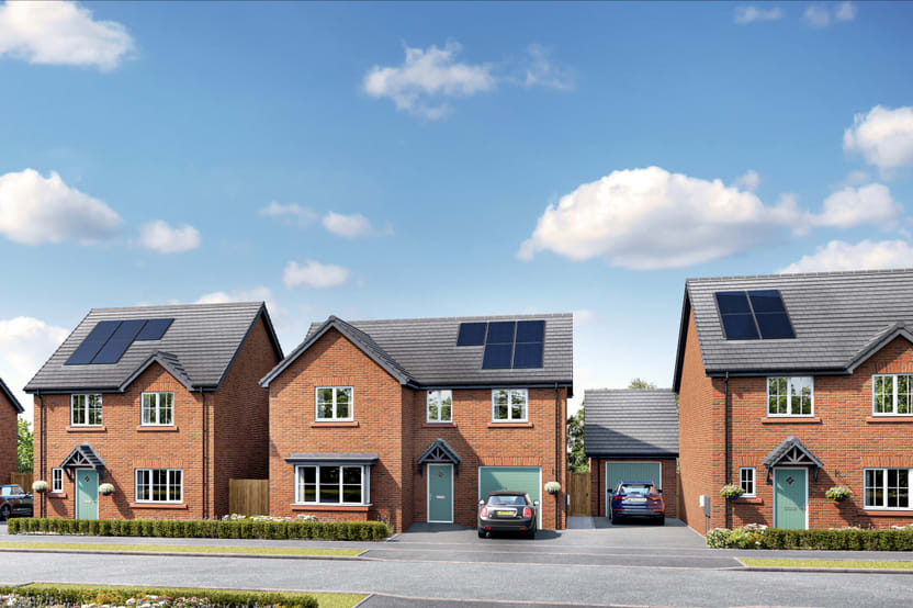 The Meadows Whiston image