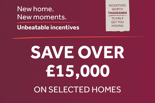 The Meadows Whiston image