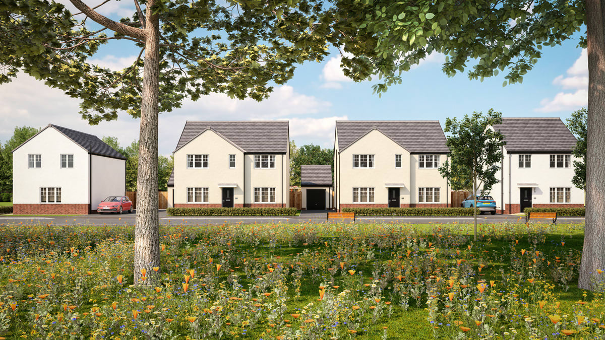 Thistle Meadows image