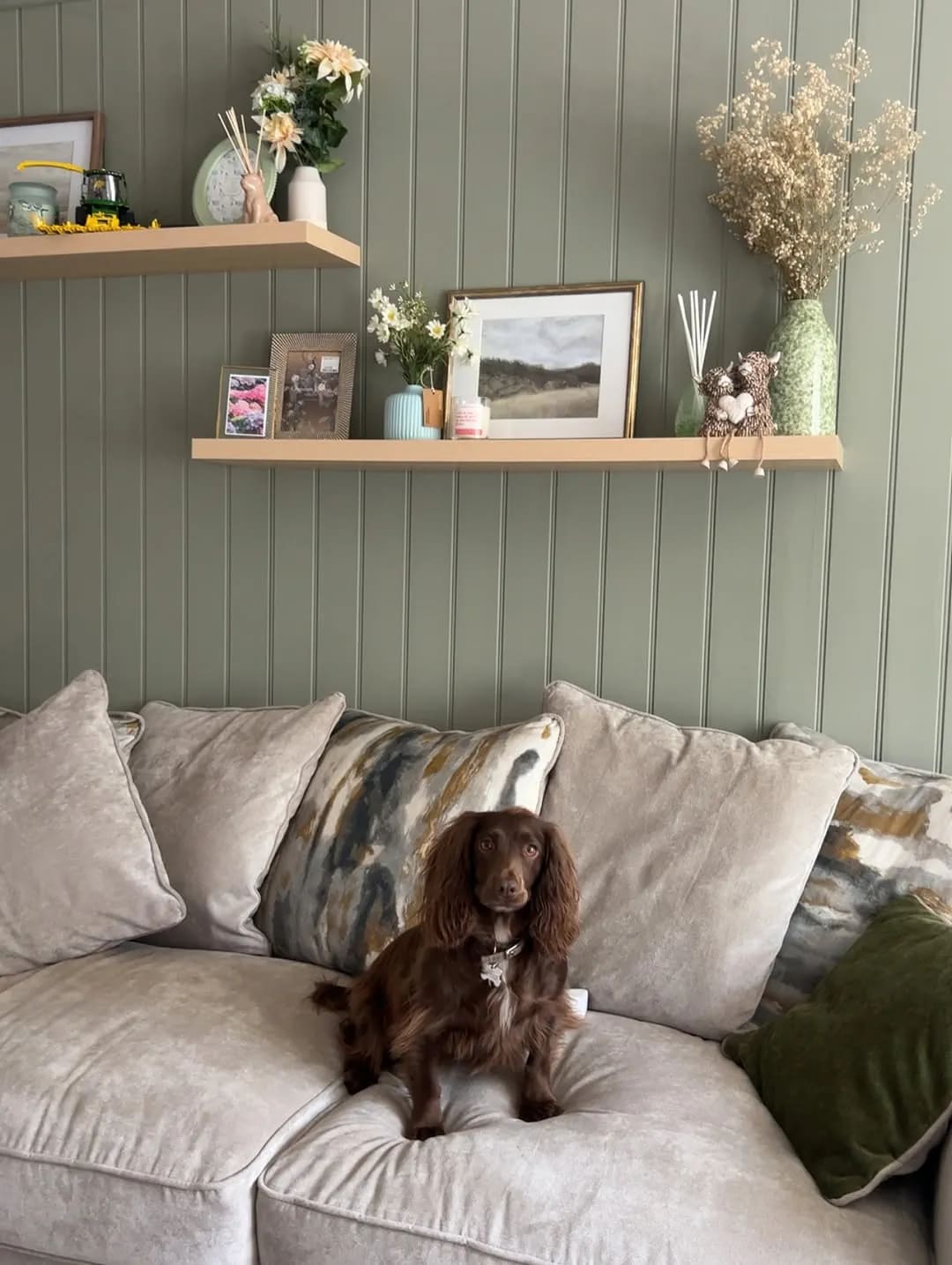 Thorsten Fields image