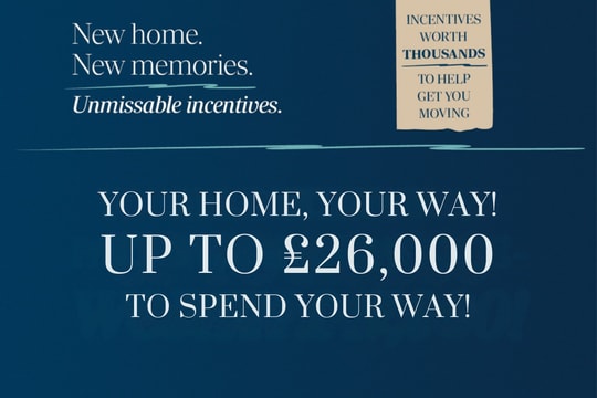 Tor View Tavistock image