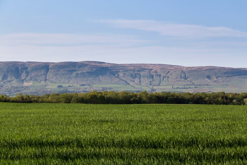 Auchinleck Village image