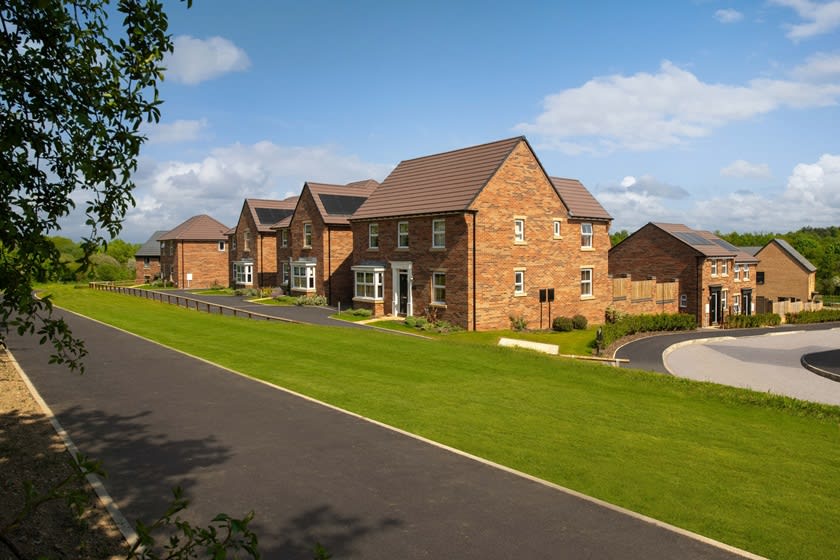 Bluebell Meadows image