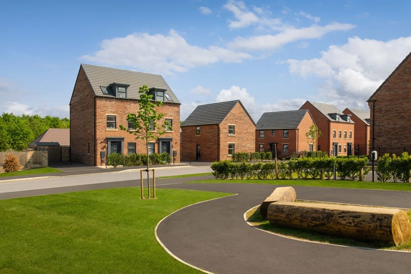 Bluebell Meadows image