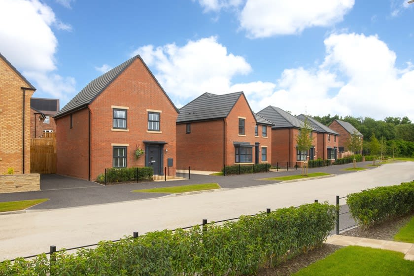 Bluebell Meadows image