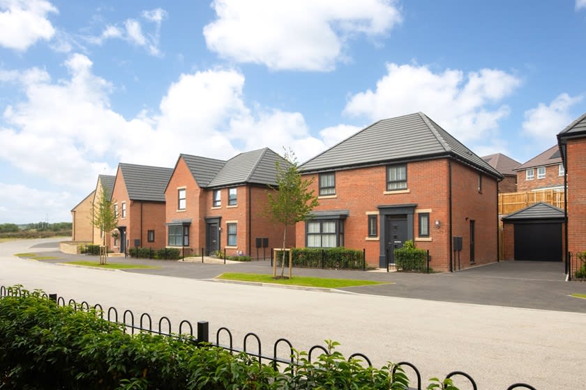 Bluebell Meadows image