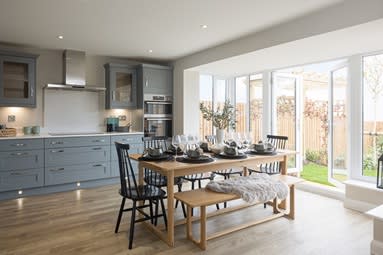 Bluebell Meadows image