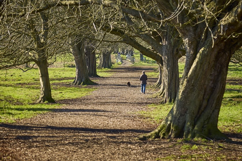 Dwh @ Chaulden Meadows image